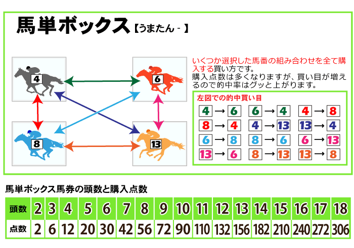 馬券ボックス買いで劇的変化！プロが隠す点数計算と回収率の法則
