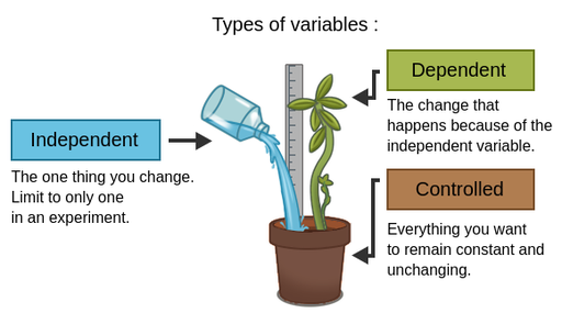 What Are the Dependent Variables in an Experiment