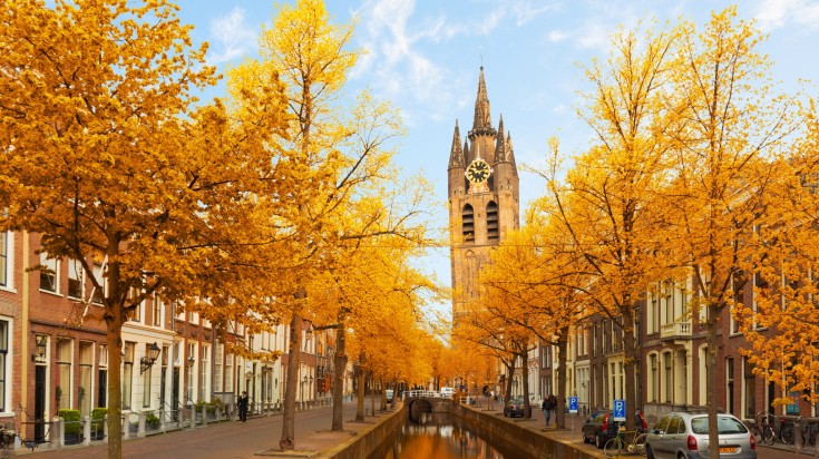 Weather in the Netherlands in November