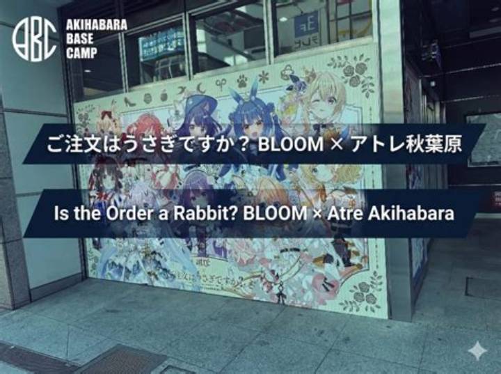 Https: //Www. Adelakun. Org/Akihabara-1/8582210/